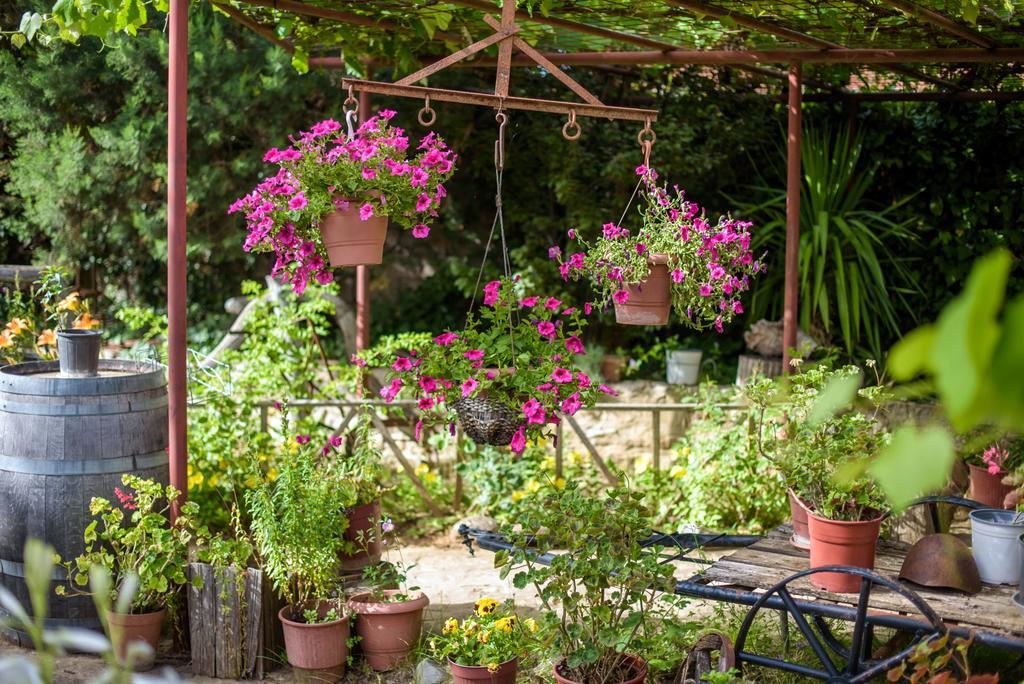 Guesthouse Alexandros Nestorion Екстериор снимка